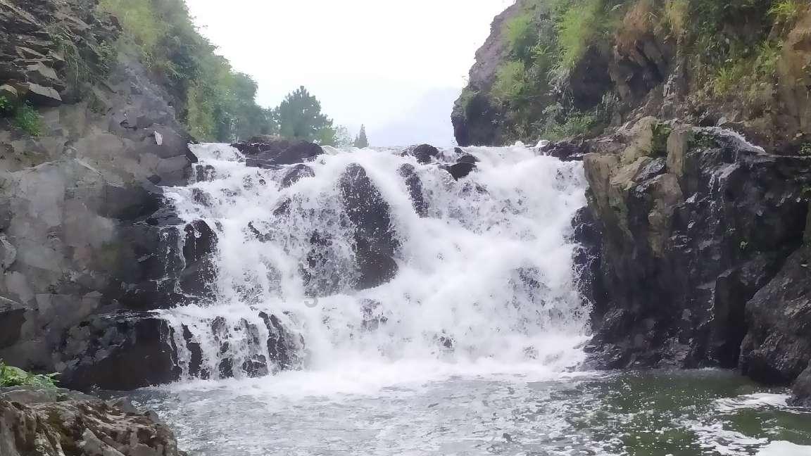 泡弹学院